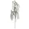 12 Pack: 27" Green Dripping Rosemary Stem by Ashland®